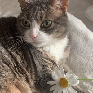 Meet your Posher, Julia